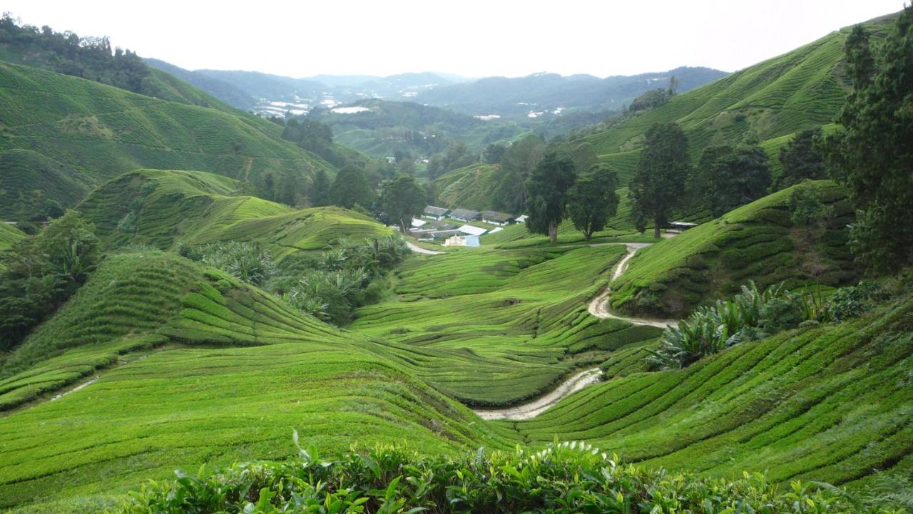 The Quintet Cameron Highlands By Tulip Tanah Rata Bagian luar foto